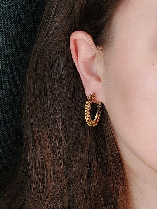 AURELIA lankelio formos auskarai